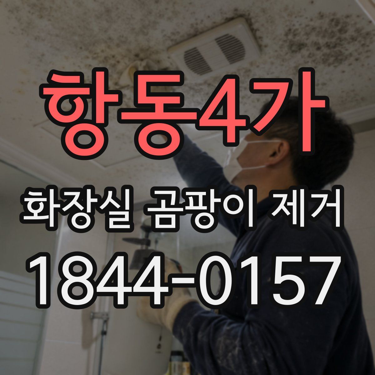 항동4가 화장실 곰팡이 제거