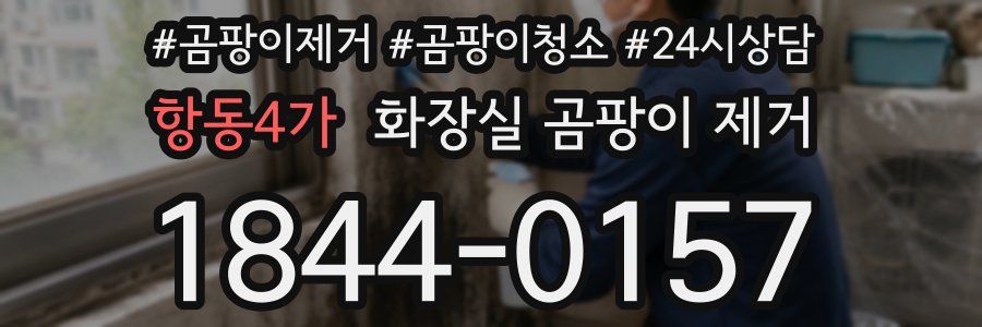 항동4가 화장실 곰팡이 제거