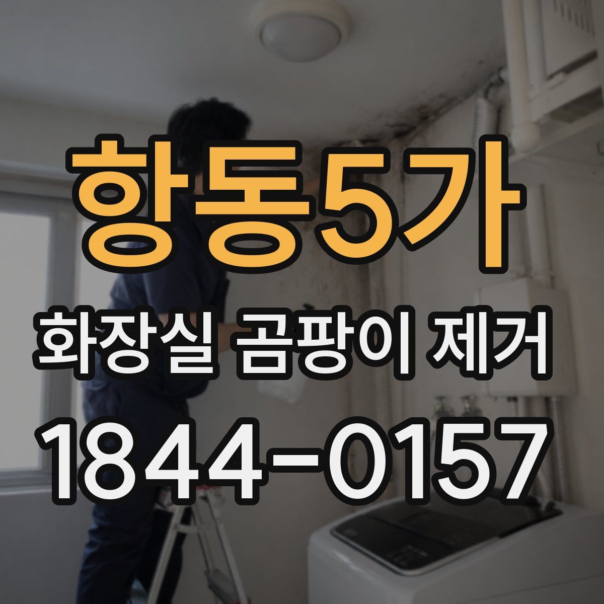 항동5가 화장실 곰팡이 제거