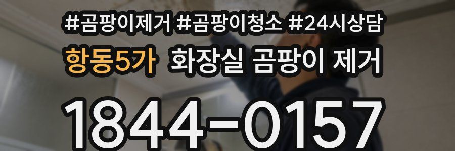 항동5가 화장실 곰팡이 제거