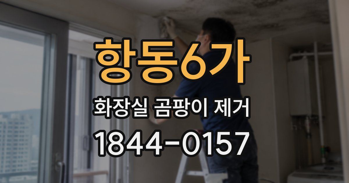 항동6가 화장실 곰팡이 제거