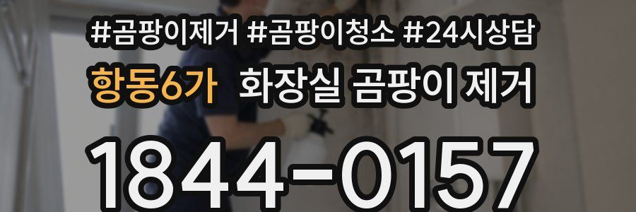 항동6가 화장실 곰팡이 제거