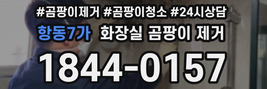 항동7가 화장실 곰팡이 제거