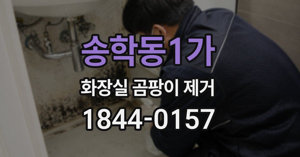 송학동1가 화장실 곰팡이 제거