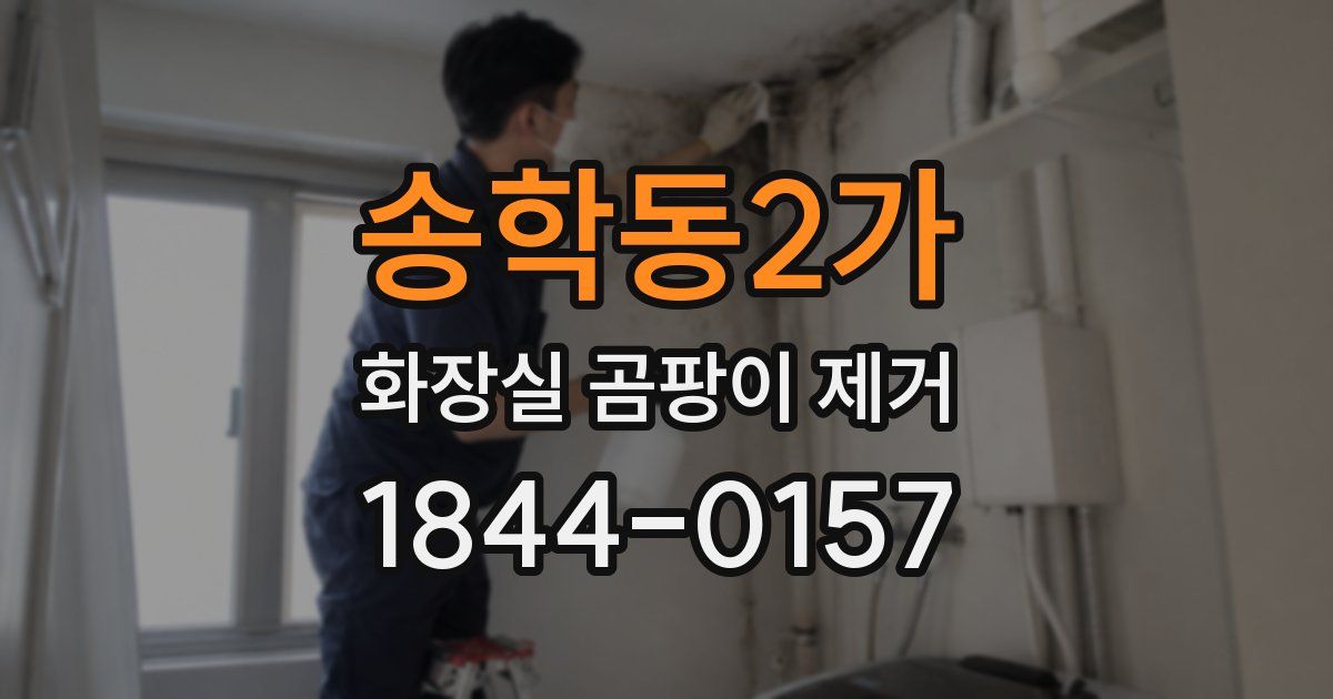 송학동2가 화장실 곰팡이 제거