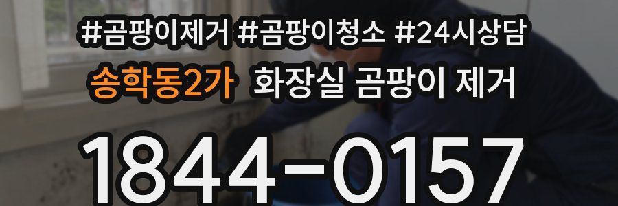 송학동2가 화장실 곰팡이 제거