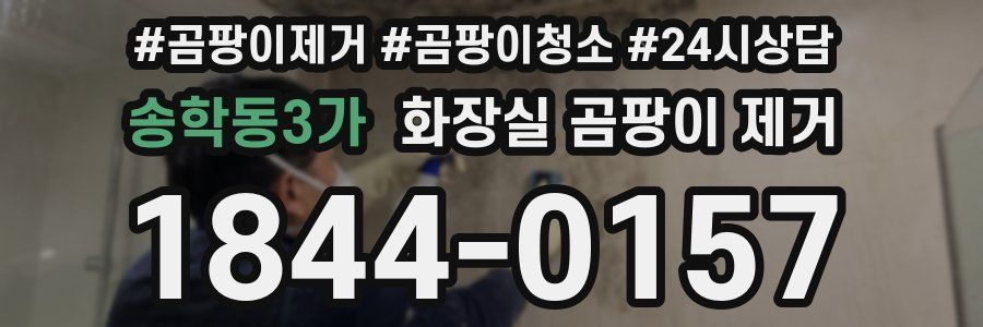 송학동3가 화장실 곰팡이 제거