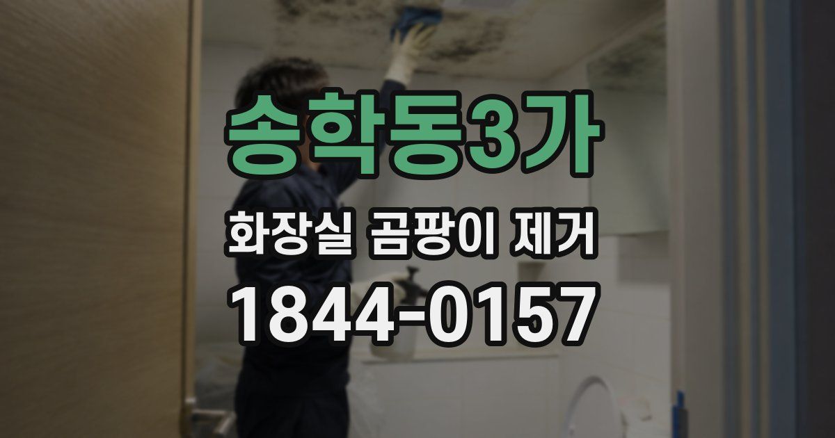 송학동3가 화장실 곰팡이 제거