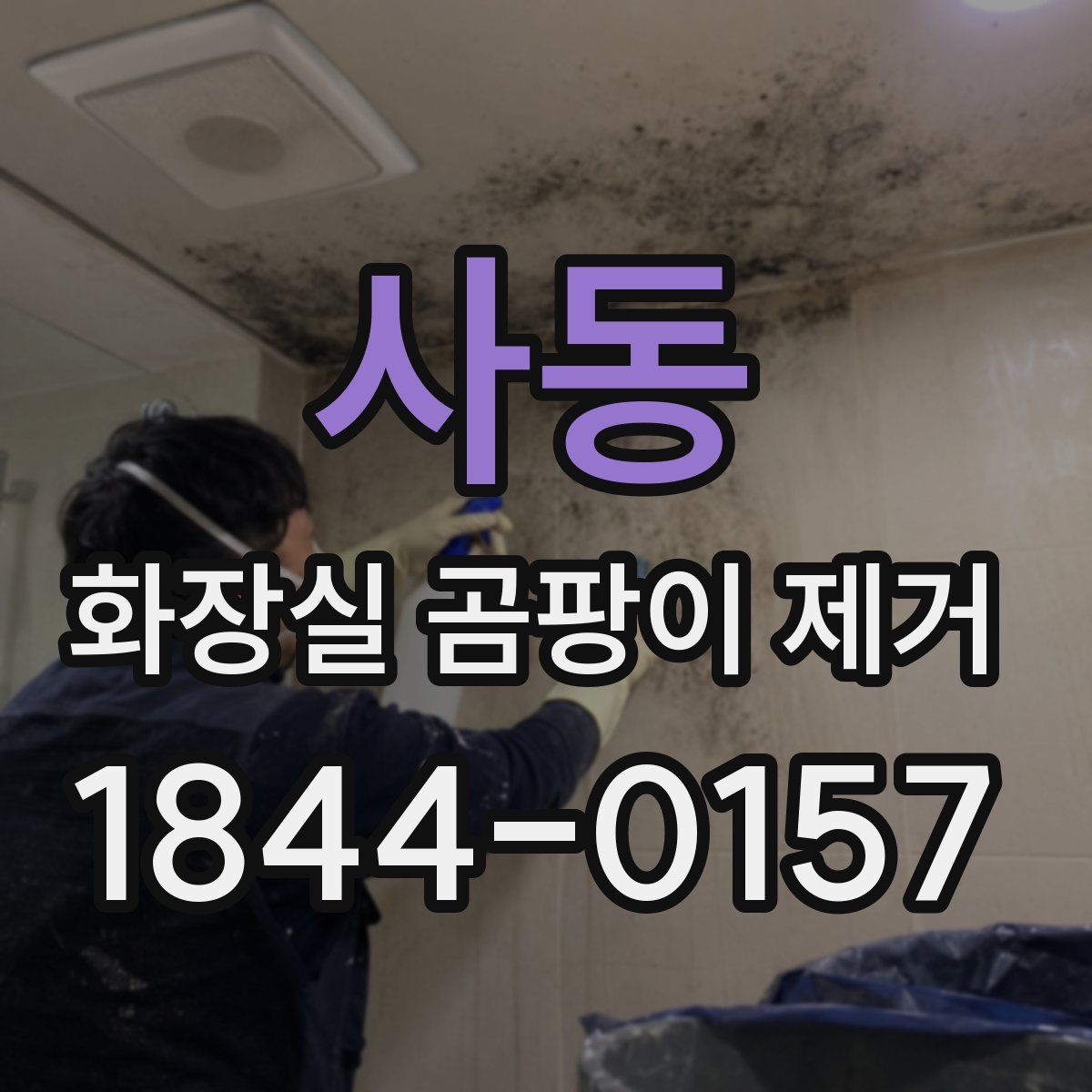 사동 화장실 곰팡이 제거