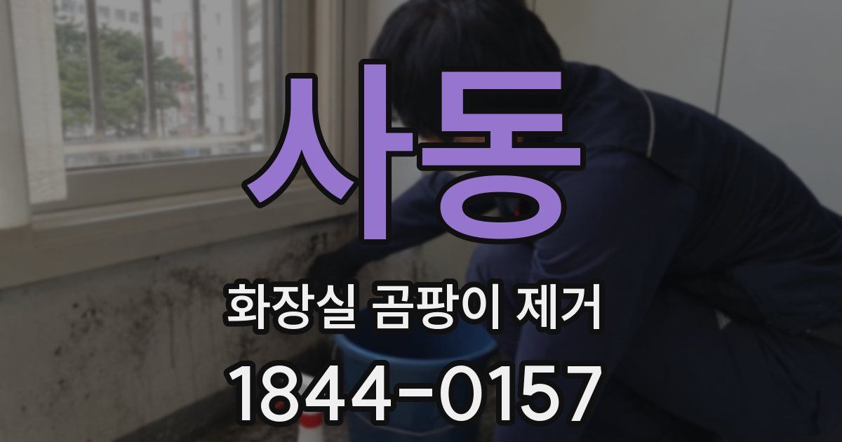사동 화장실 곰팡이 제거