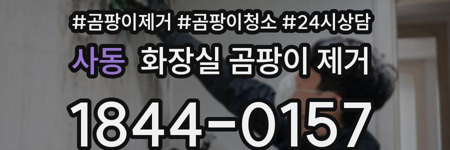 사동 화장실 곰팡이 제거