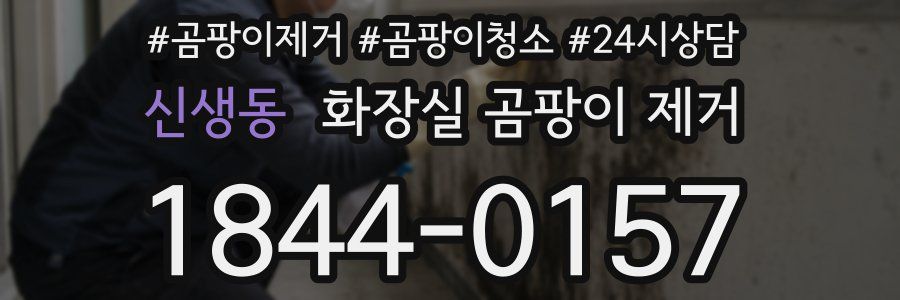 신생동 화장실 곰팡이 제거