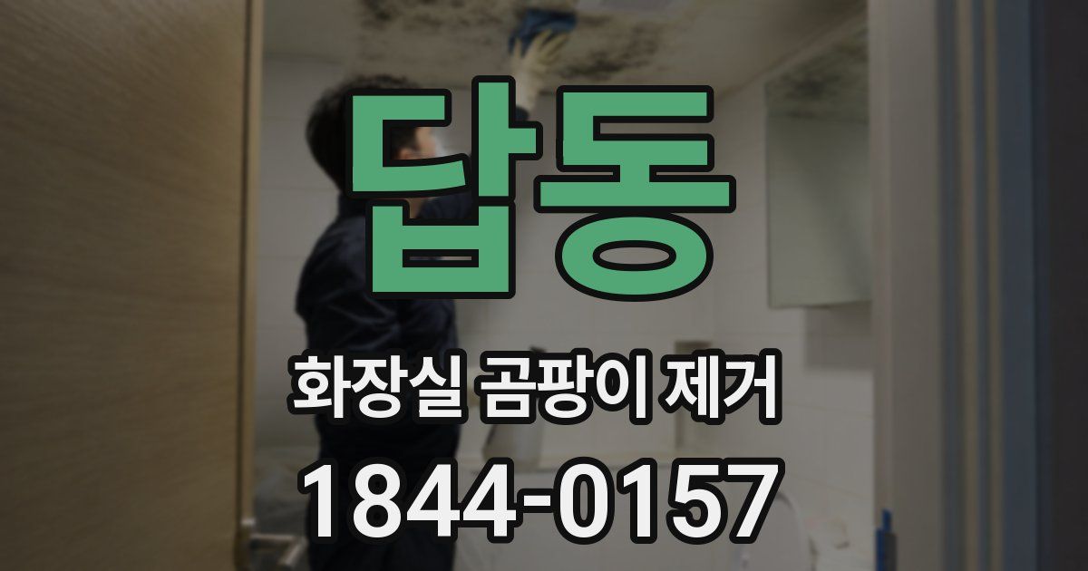 답동 화장실 곰팡이 제거