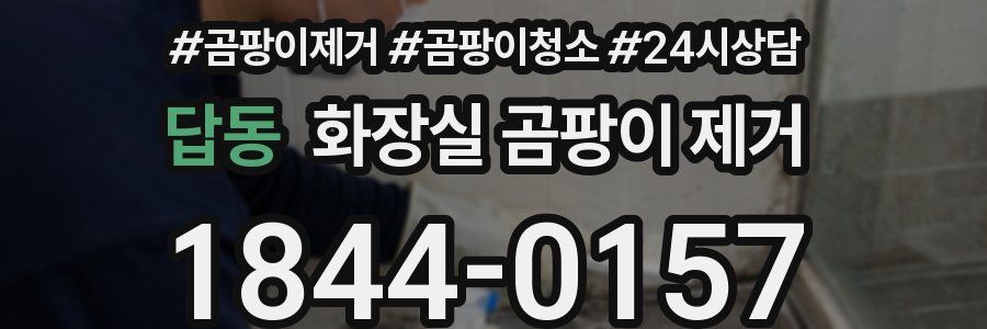 답동 화장실 곰팡이 제거