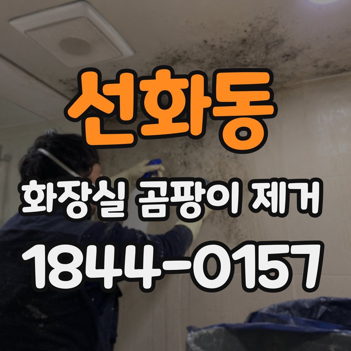 선화동 화장실 곰팡이 제거