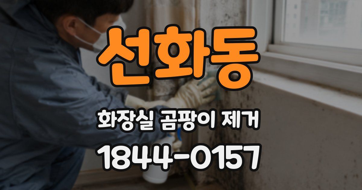 선화동 화장실 곰팡이 제거