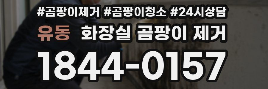 유동 화장실 곰팡이 제거