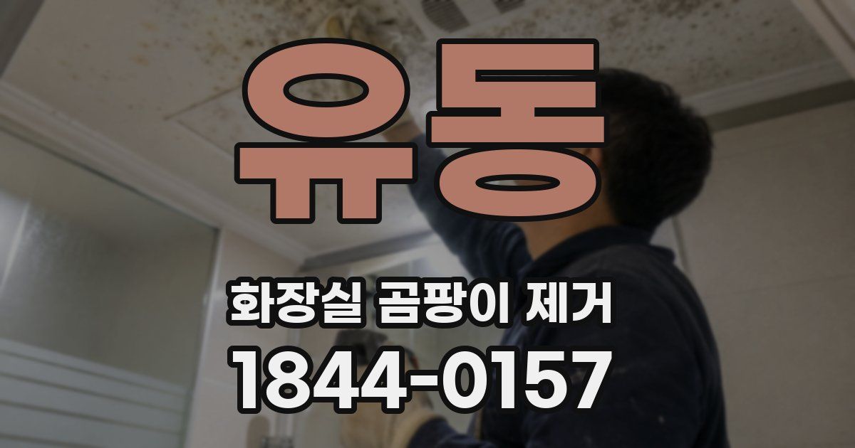 유동 화장실 곰팡이 제거