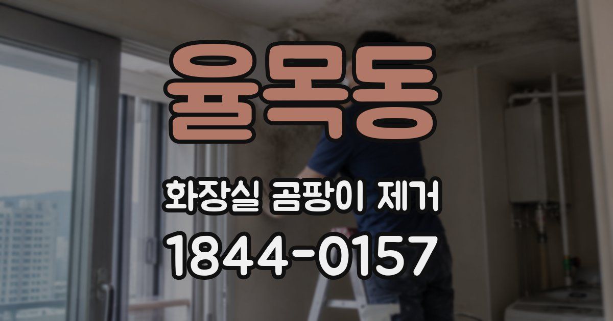 율목동 화장실 곰팡이 제거