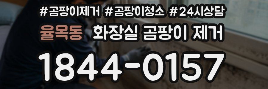 율목동 화장실 곰팡이 제거