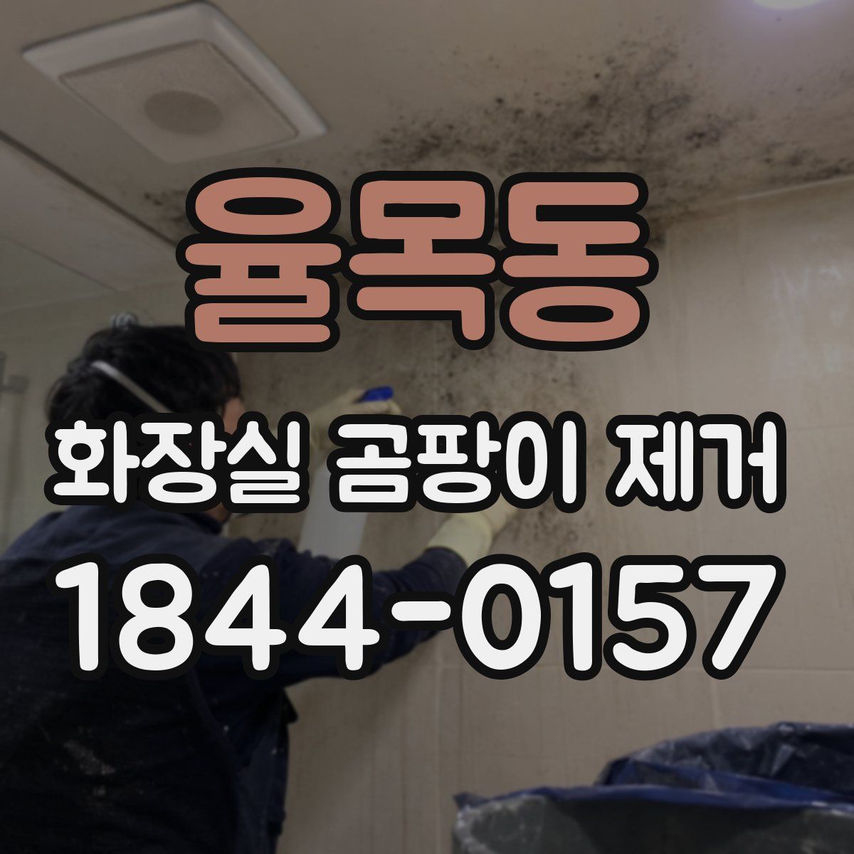 율목동 화장실 곰팡이 제거