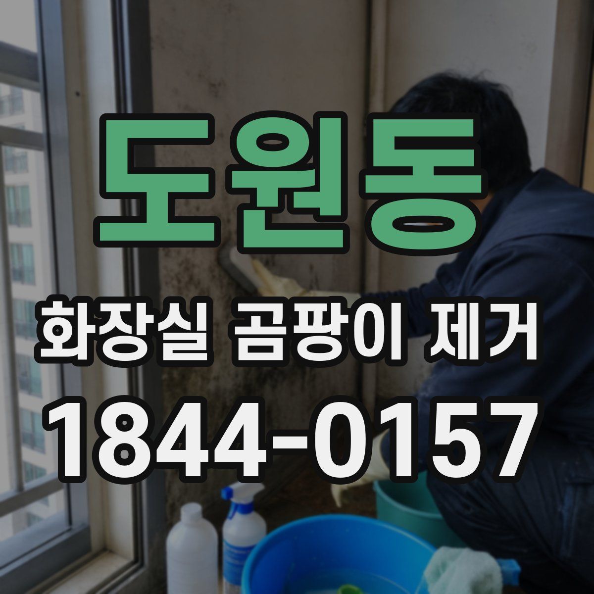 도원동 화장실 곰팡이 제거