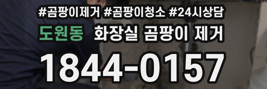 도원동 화장실 곰팡이 제거