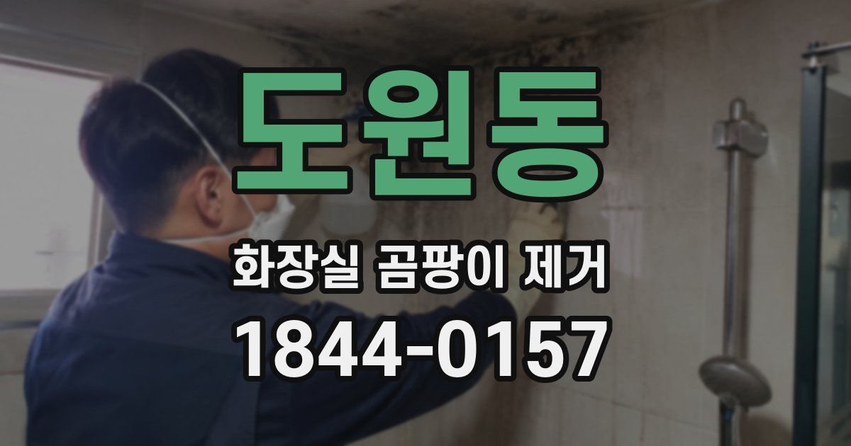 도원동 화장실 곰팡이 제거