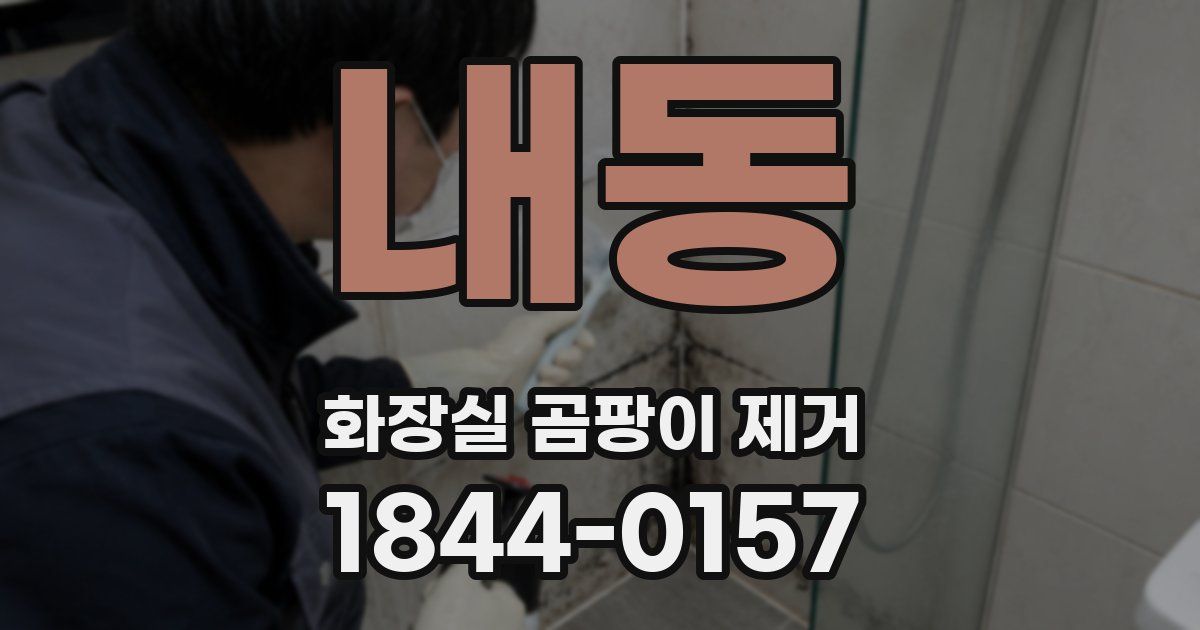 내동 화장실 곰팡이 제거