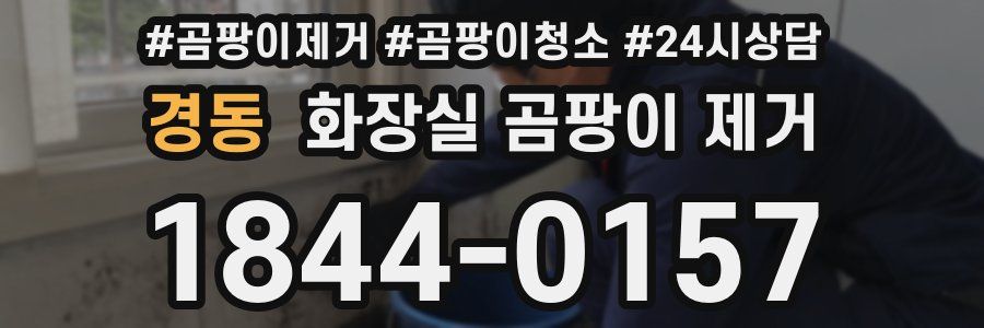 경동 화장실 곰팡이 제거