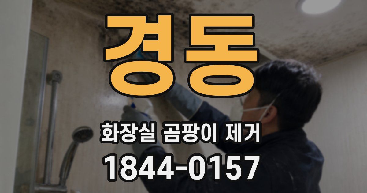 경동 화장실 곰팡이 제거