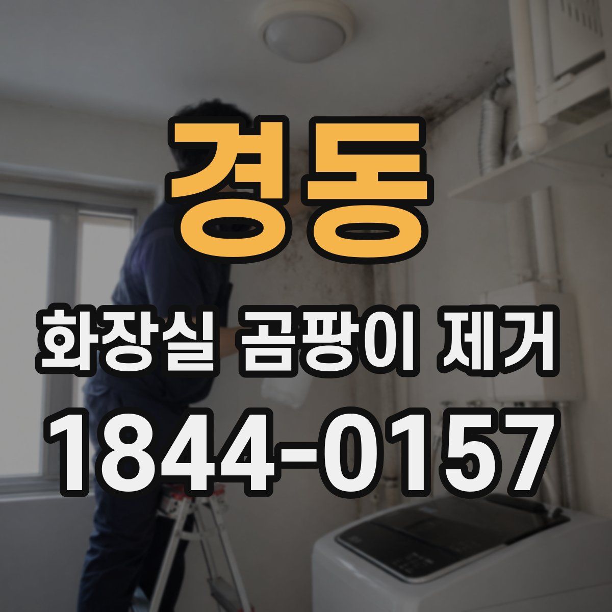 경동 화장실 곰팡이 제거