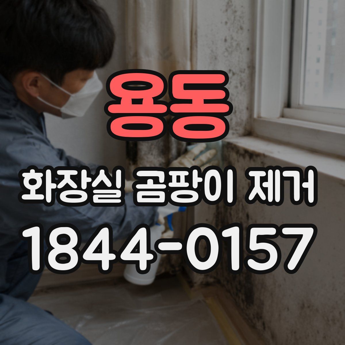 용동 화장실 곰팡이 제거