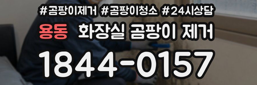 용동 화장실 곰팡이 제거