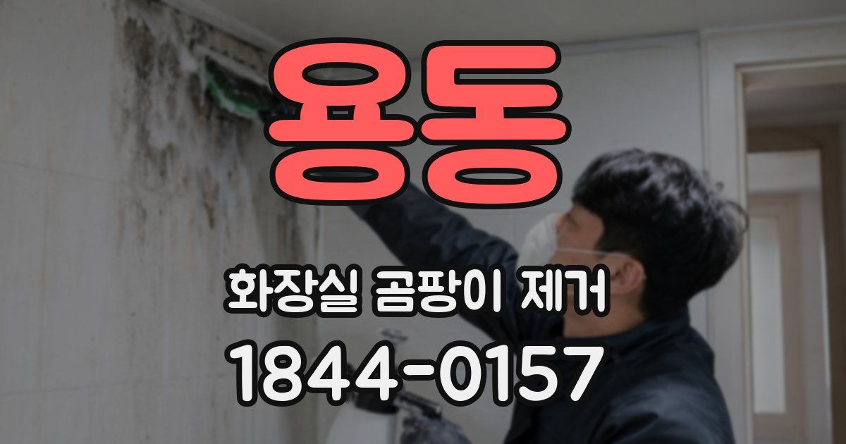 용동 화장실 곰팡이 제거