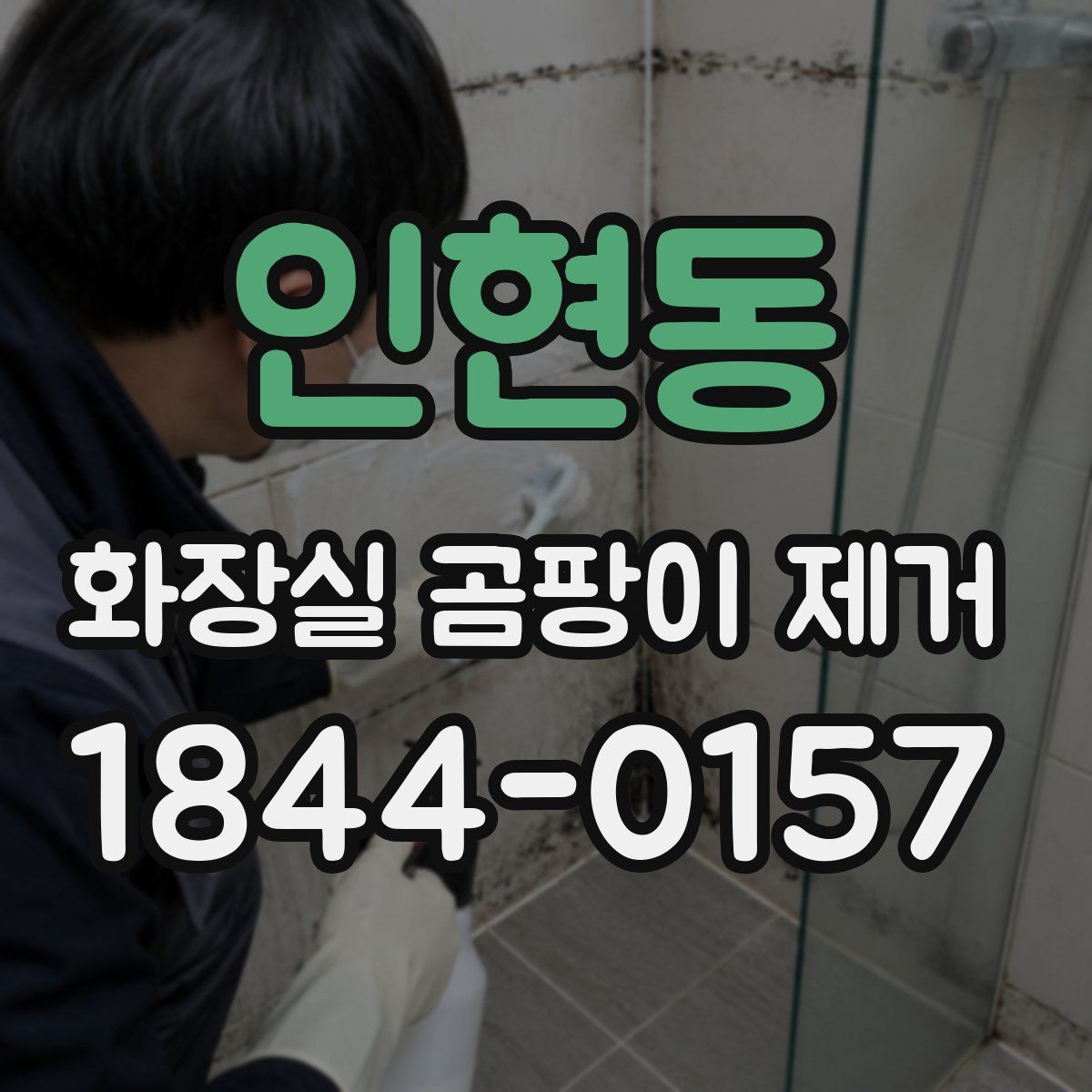 인현동 화장실 곰팡이 제거
