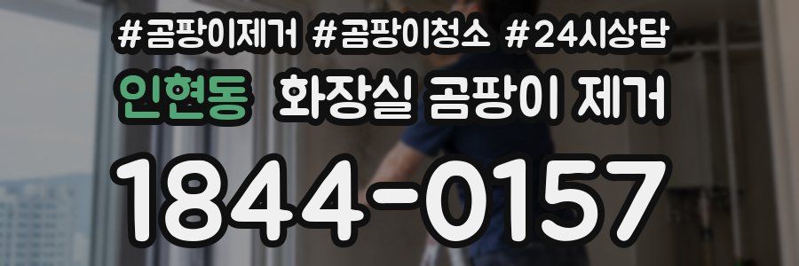 인현동 화장실 곰팡이 제거