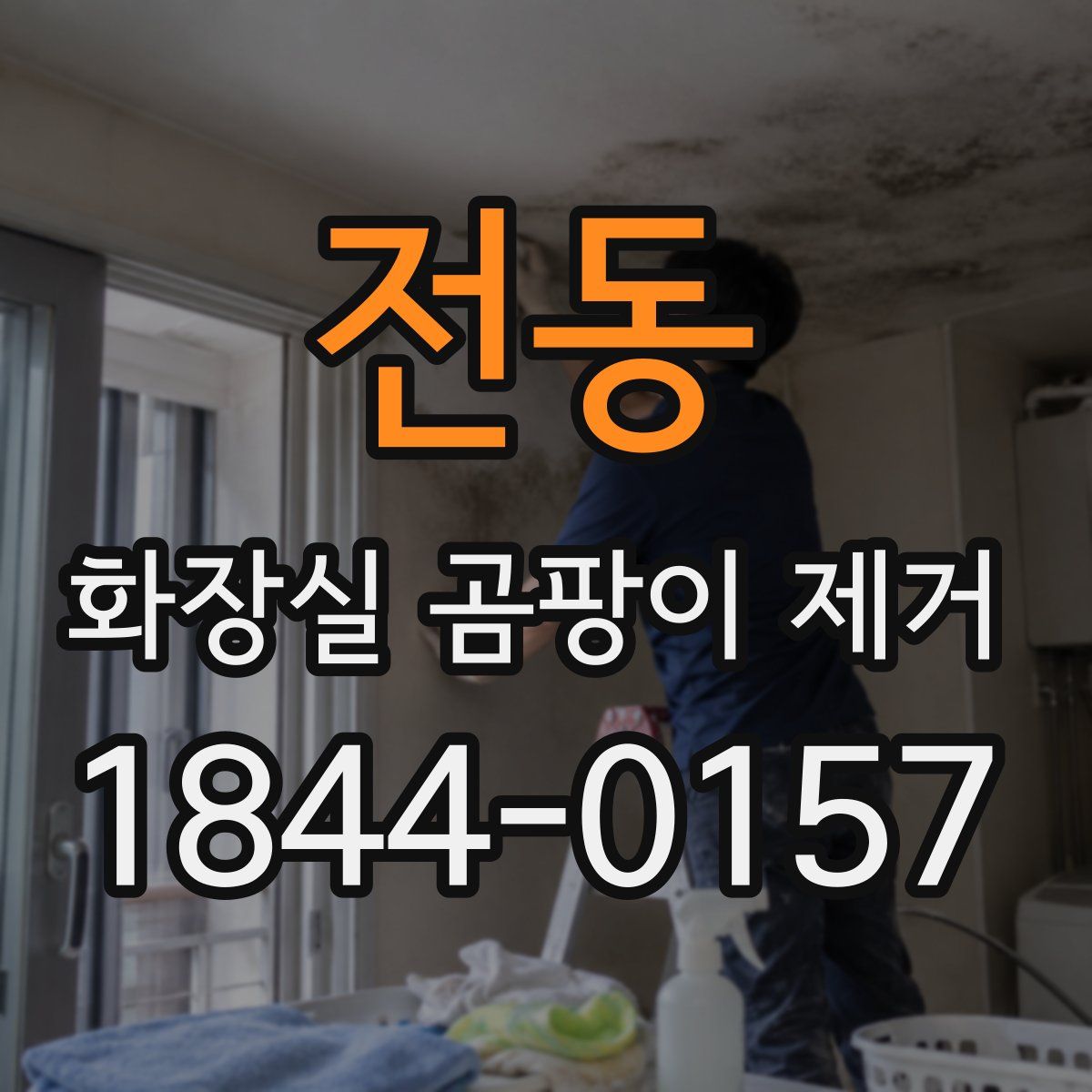 전동 화장실 곰팡이 제거