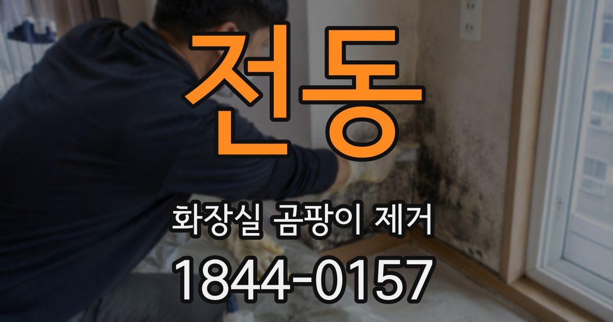 전동 화장실 곰팡이 제거