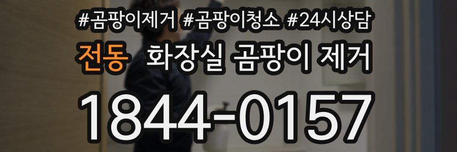 전동 화장실 곰팡이 제거