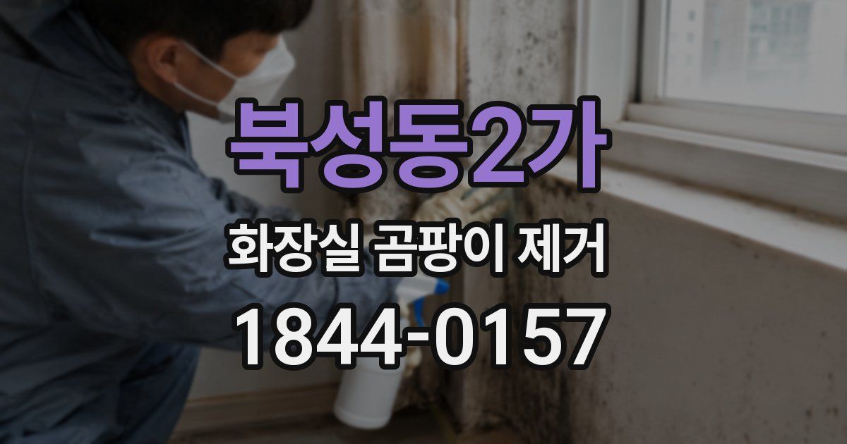 북성동2가 화장실 곰팡이 제거