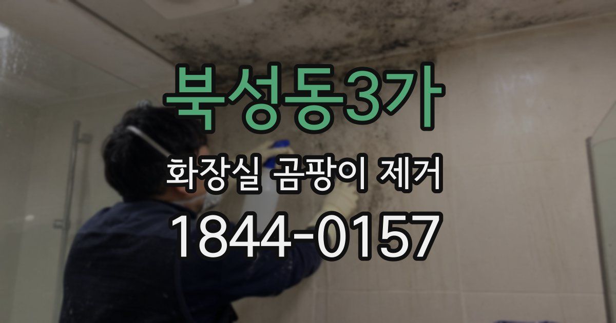 북성동3가 화장실 곰팡이 제거
