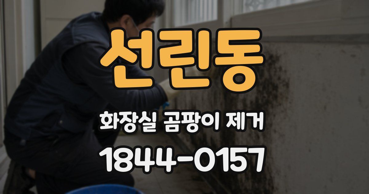 선린동 화장실 곰팡이 제거