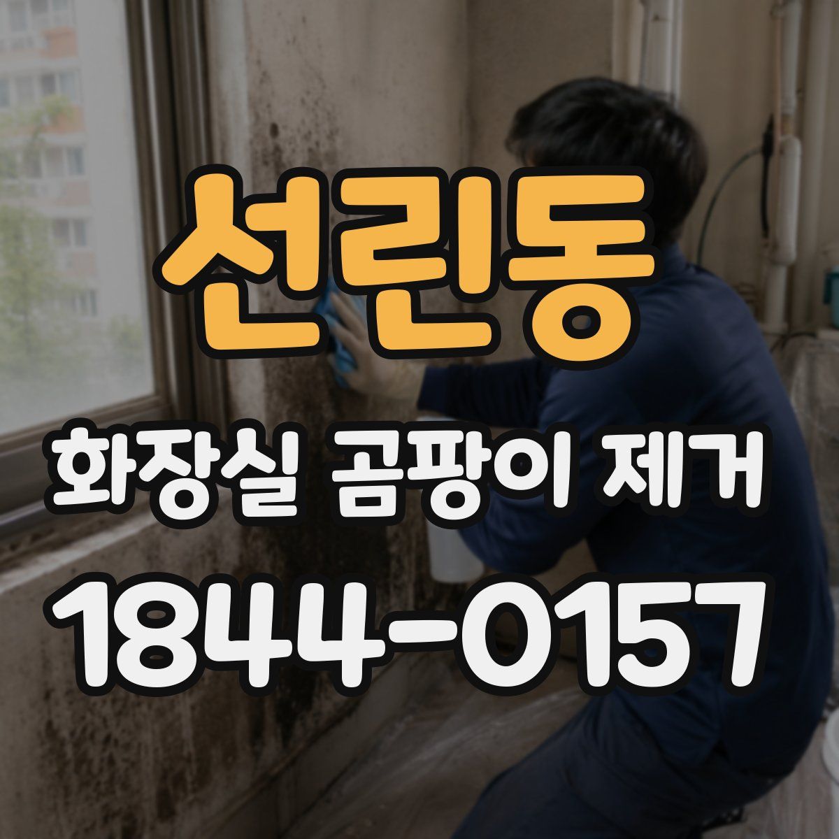 선린동 화장실 곰팡이 제거