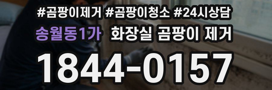 송월동1가 화장실 곰팡이 제거