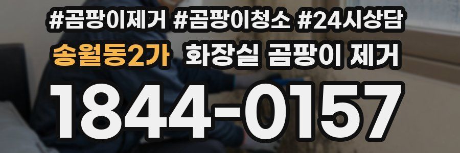 송월동2가 화장실 곰팡이 제거