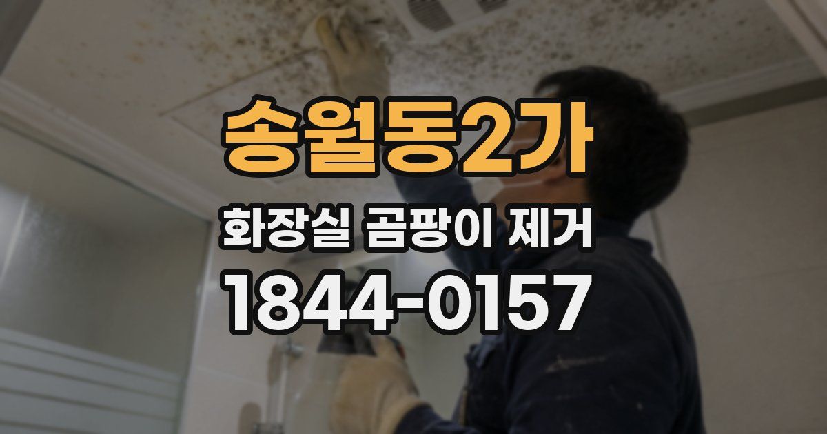 송월동2가 화장실 곰팡이 제거