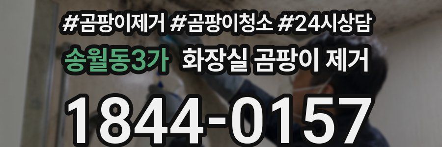 송월동3가 화장실 곰팡이 제거