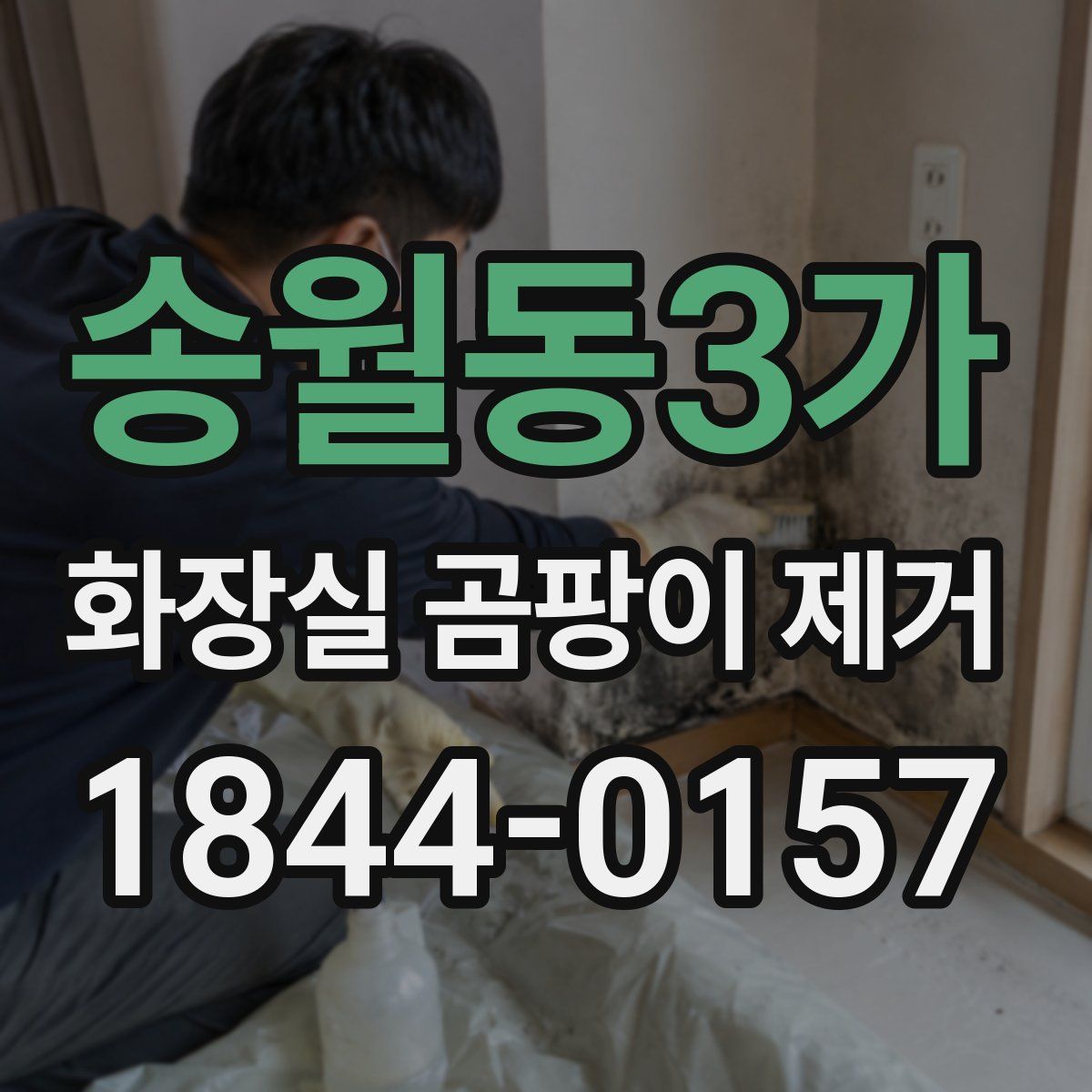송월동3가 화장실 곰팡이 제거