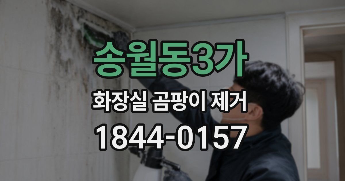송월동3가 화장실 곰팡이 제거